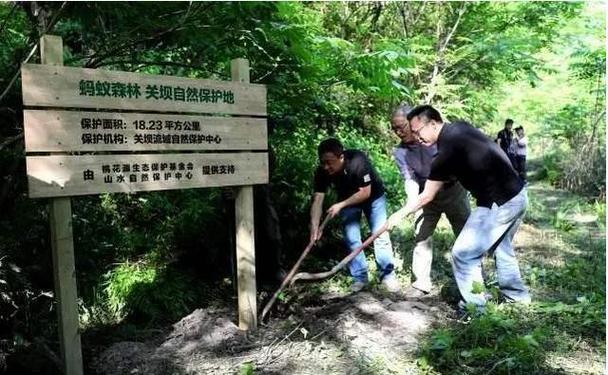 马云现身蚂蚁森林