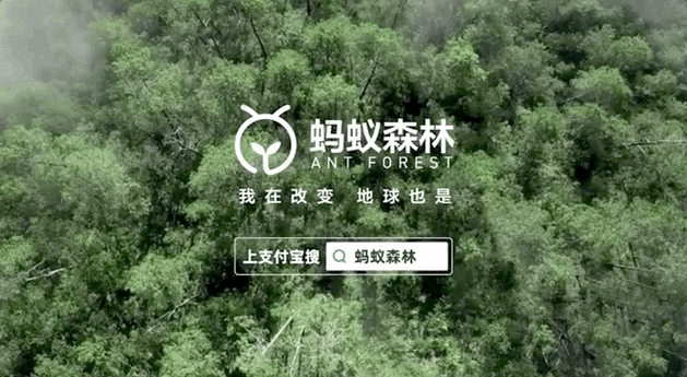 马云现身蚂蚁森林