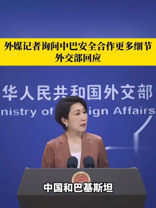 外交部：中巴关系不受第三方影响
