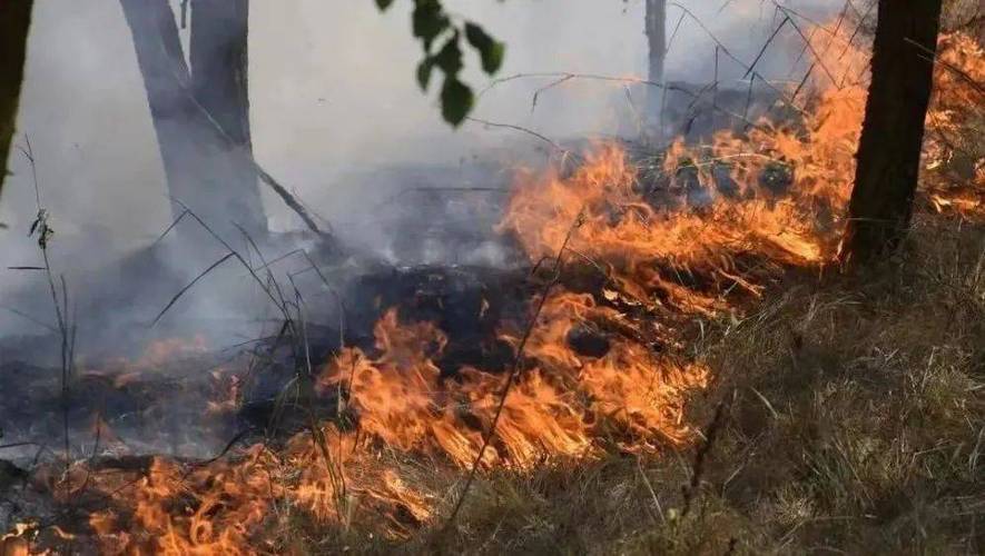 “全国最矮的山”火了