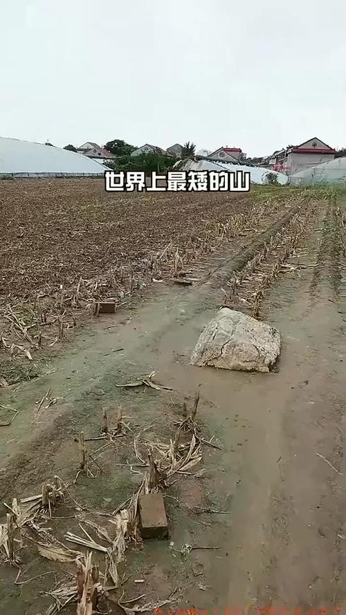 “全国最矮的山”火了
