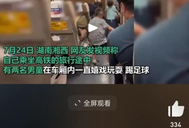 俩小孩高铁上静音打架只动手不动嘴