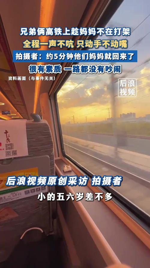 俩小孩高铁上静音打架只动手不动嘴