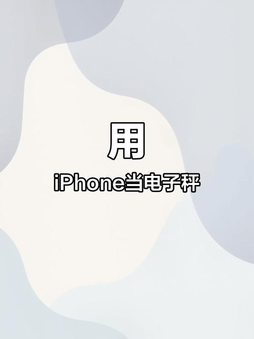 如何在苹果里称重量手机