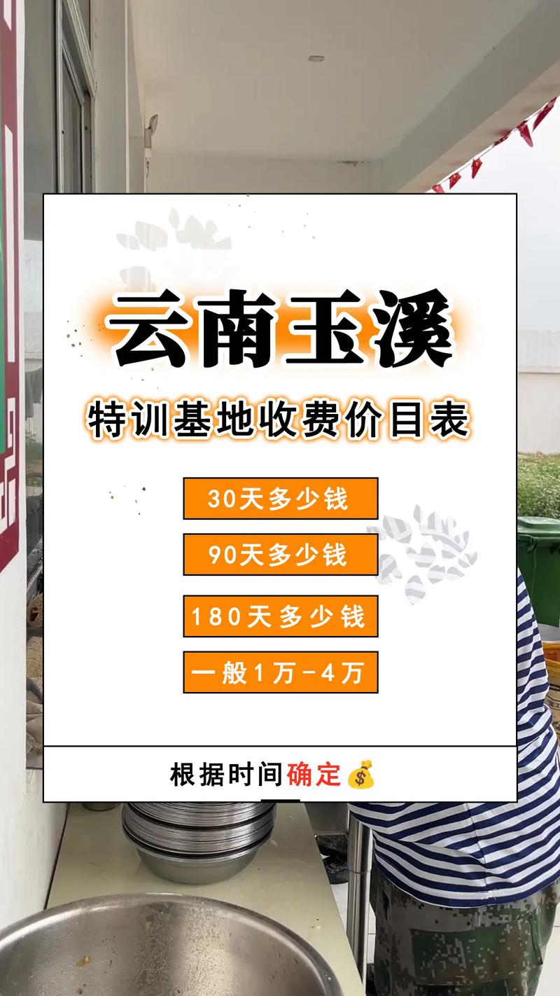 云南玉溪进城区须缴费200元？假