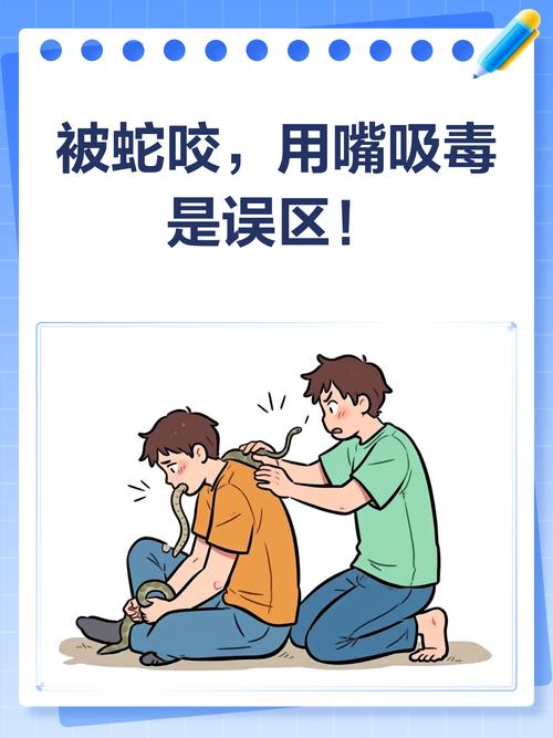 被蛇咬可以用嘴吸出毒血吗?