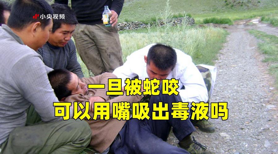被蛇咬可以用嘴吸出毒血吗?