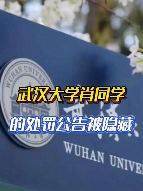 武汉大学肖同学的处罚公告被隐藏