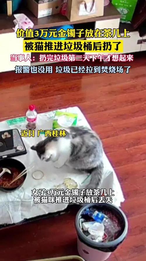 3万金镯子被猫推进垃圾桶后扔了