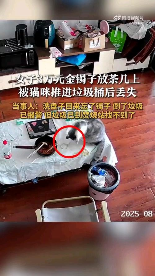 3万金镯子被猫推进垃圾桶后扔了