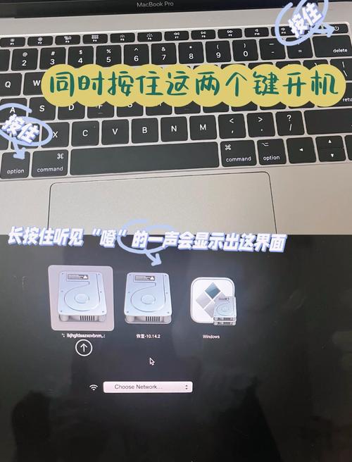 电脑苹果系统如何使用