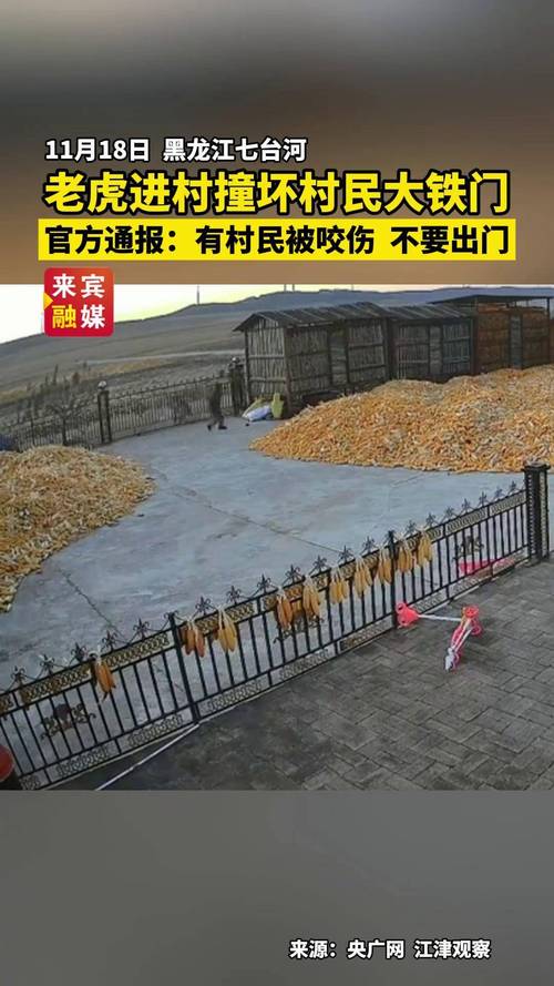 湖北一村民称遭老虎袭击 当地通报