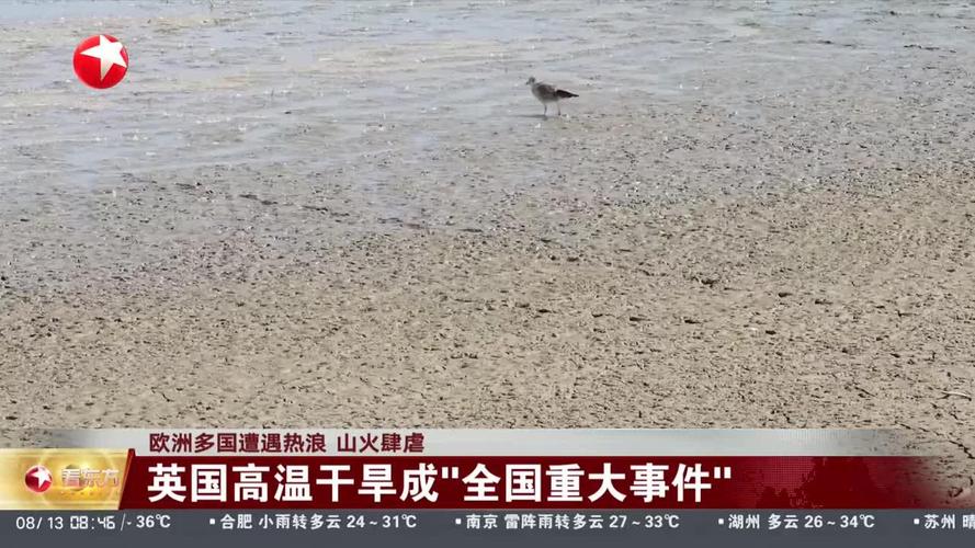 欧洲多国山火肆虐 火情打破多项纪录