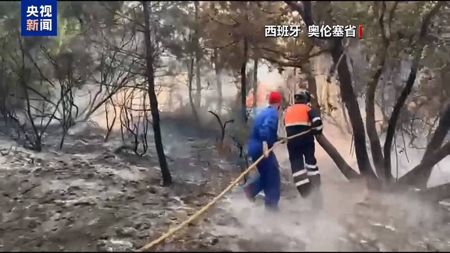 欧洲多国山火肆虐 火情打破多项纪录