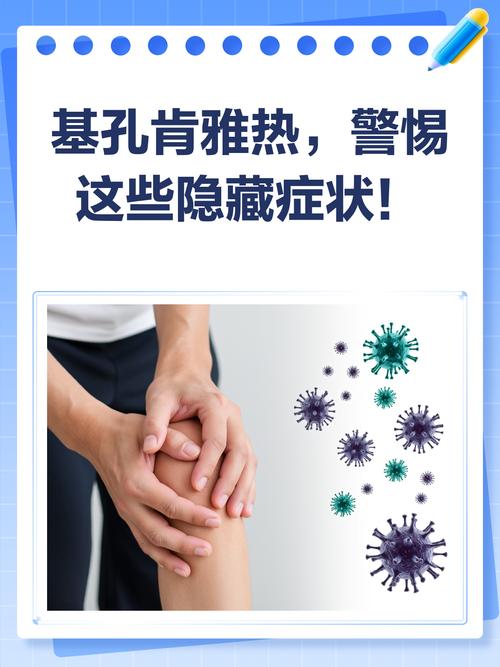 出现这些症状可能是基孔肯雅热