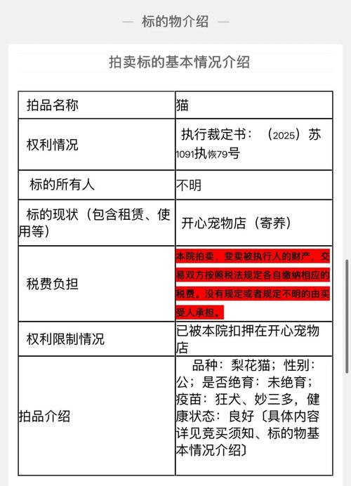 因主人欠款狸花猫遭法拍 拍卖被撤销