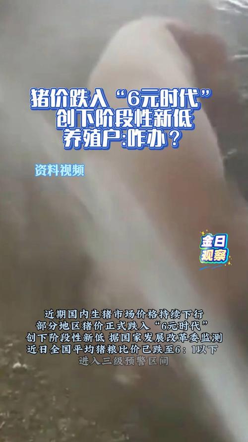 猪价跌入“6元时代”