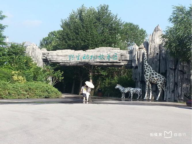 大连森林动物园回应牦牛疑遭虐待