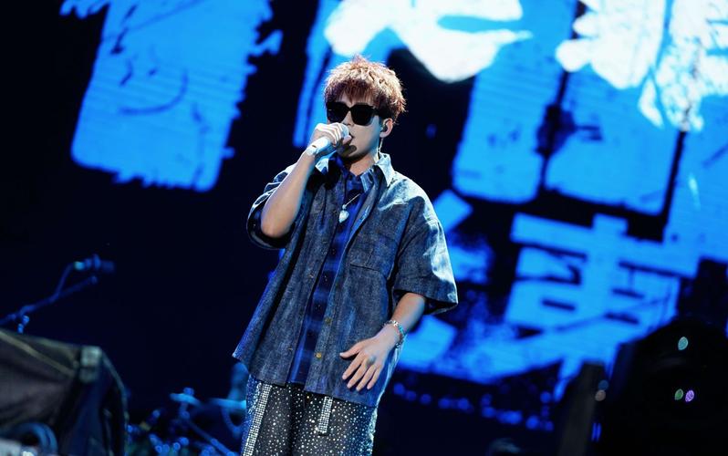 苏醒演唱会被粉丝信整内向了