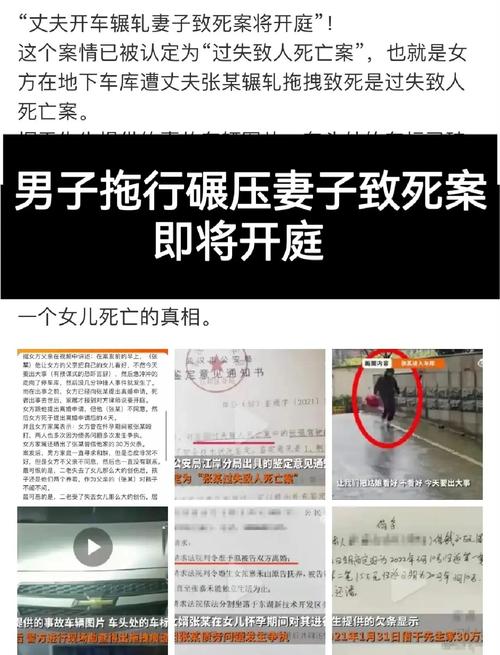 丈夫杀妻因抑郁获死缓 搜索记录曝光