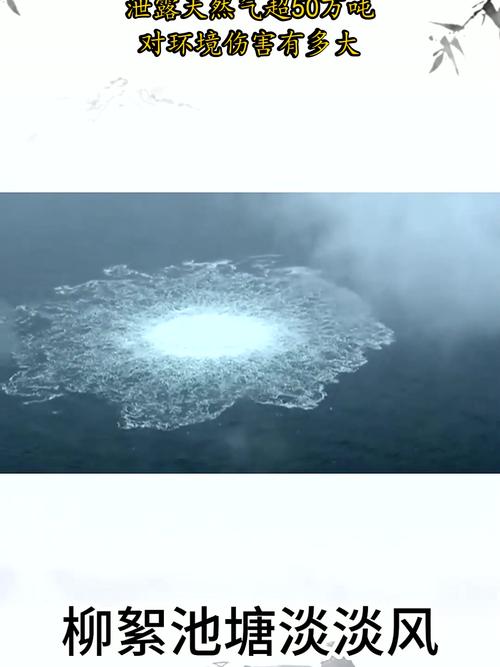 “北溪”管道被毁细节曝光