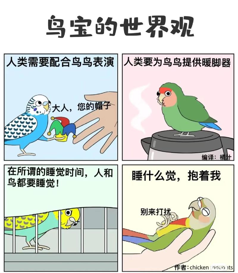 “鸟门”风潮悄然兴起