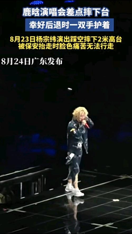 鹿晗演唱会差点摔下升降台