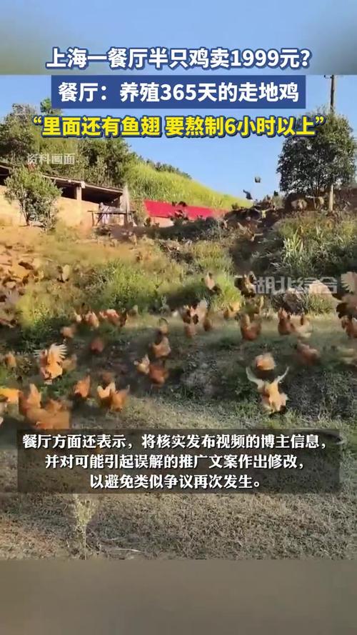 半只鸡卖1999元 上海一餐厅回应