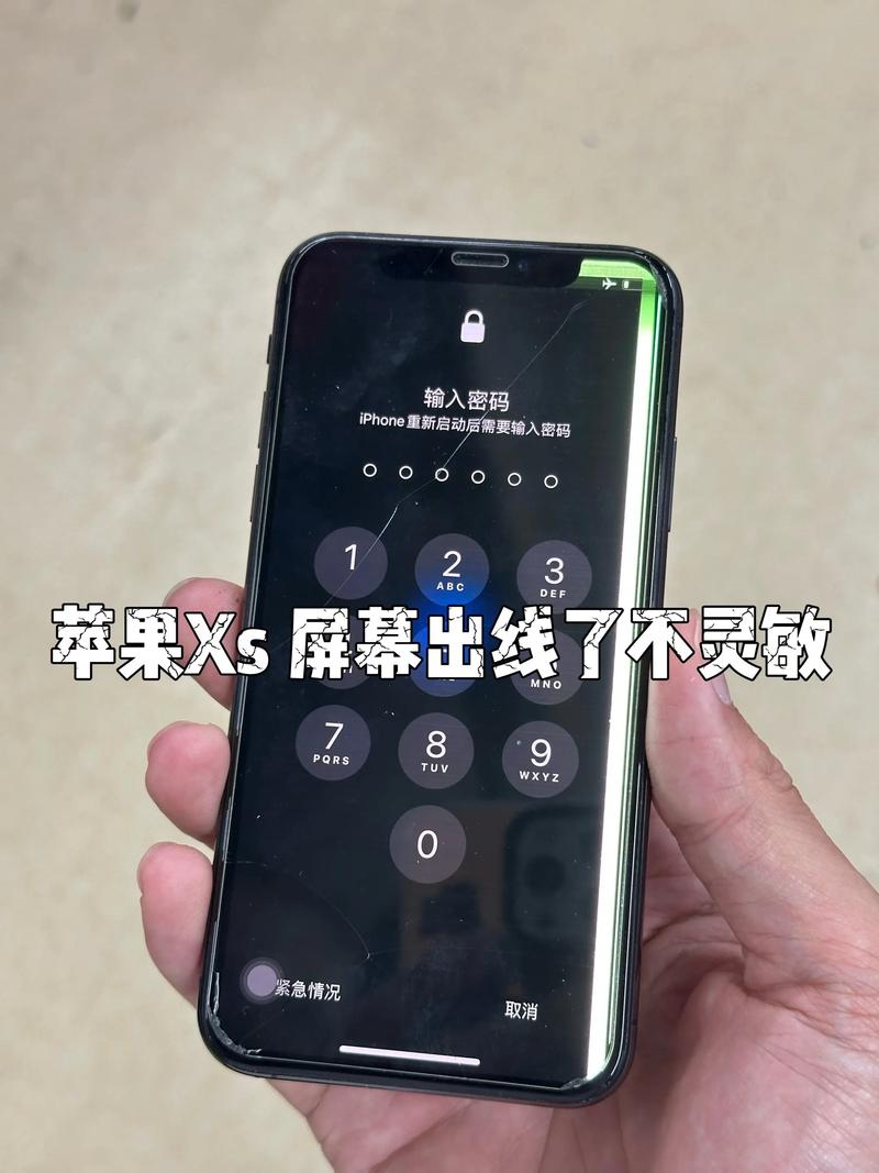 苹果xs手机如何接入互联网
