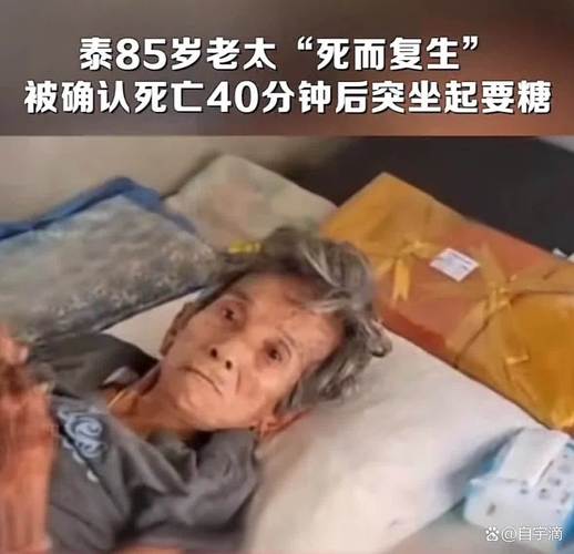 8旬老人捅马蜂窝被蛰不幸去世