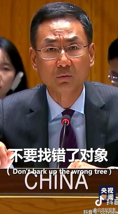 男子假冒联合国外交官身份