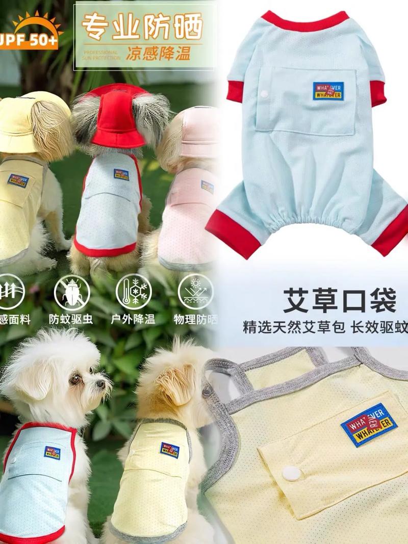 医生谈宠物防晒服走红