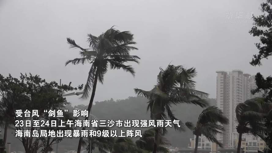 台风“剑鱼”吹袭三亚后现状