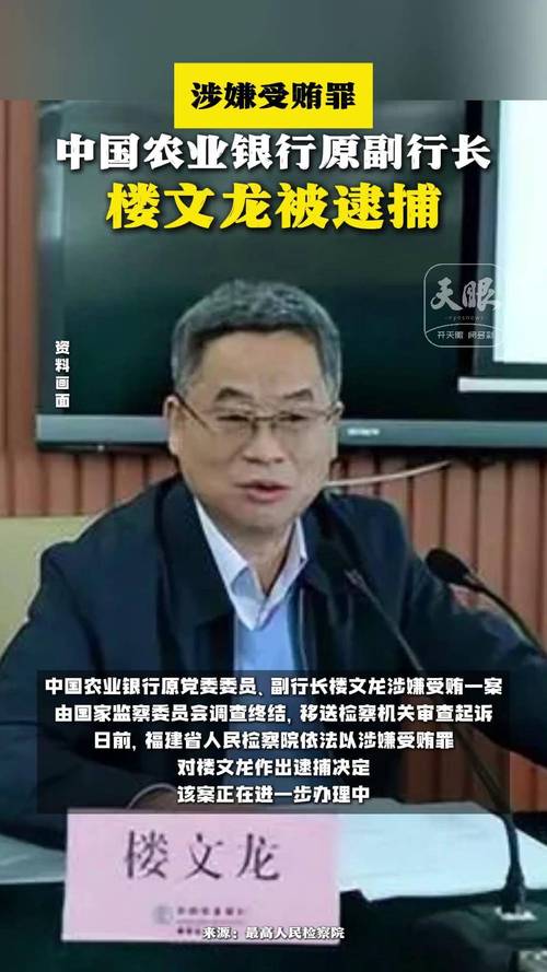 中国农行原副行长楼文龙被判无期
