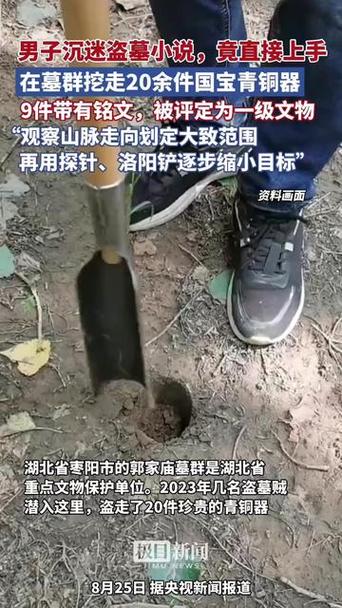 男子看小说学盗墓挖走20余件国宝