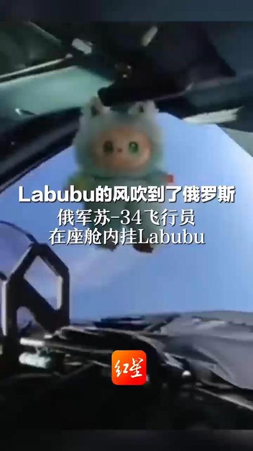 俄军飞行员在座舱挂了LABUBU