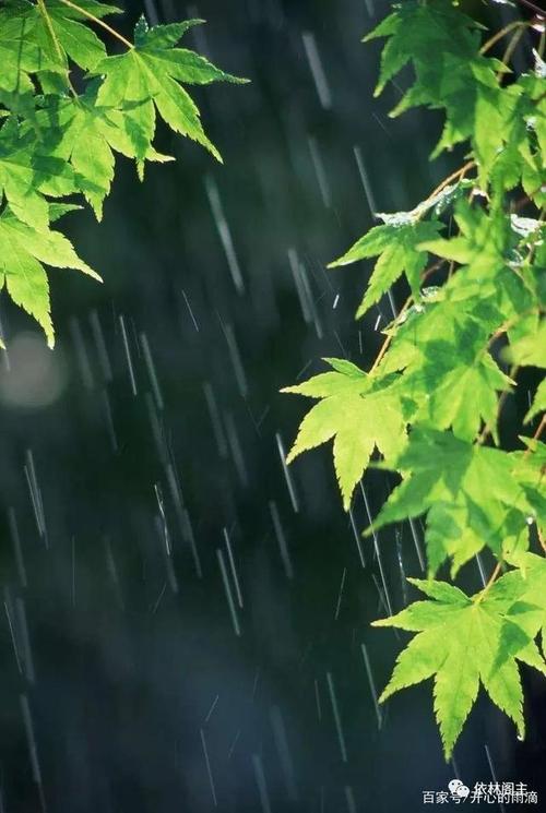 盛夏“收官”之雨来了