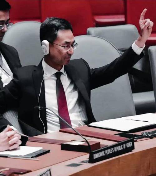 男子假冒“联合国外交官”被拆穿