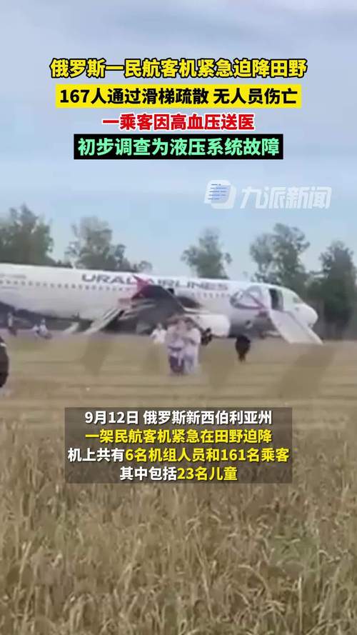 伦敦飞北京一客机紧急迫降俄罗斯