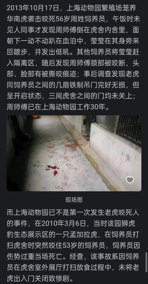 猫咪误入动物园虎园被咬死