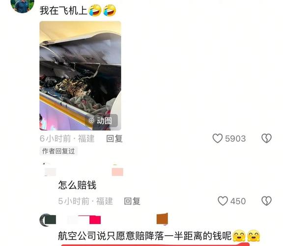 厦航飞机客舱充电宝疑起火 多方回应