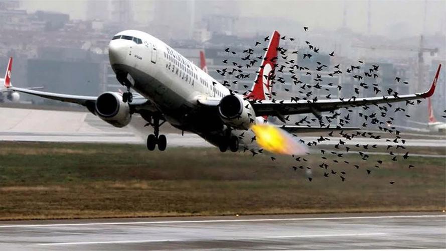 两架无人机高空相撞 涉事飞手均被罚