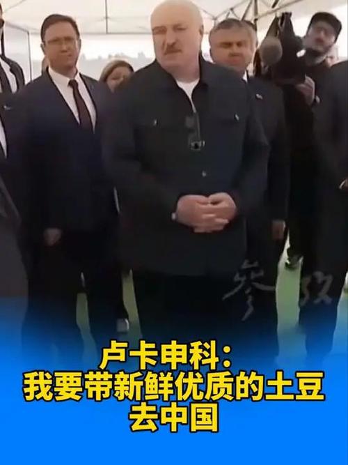卢卡申科：我要带土豆去中国