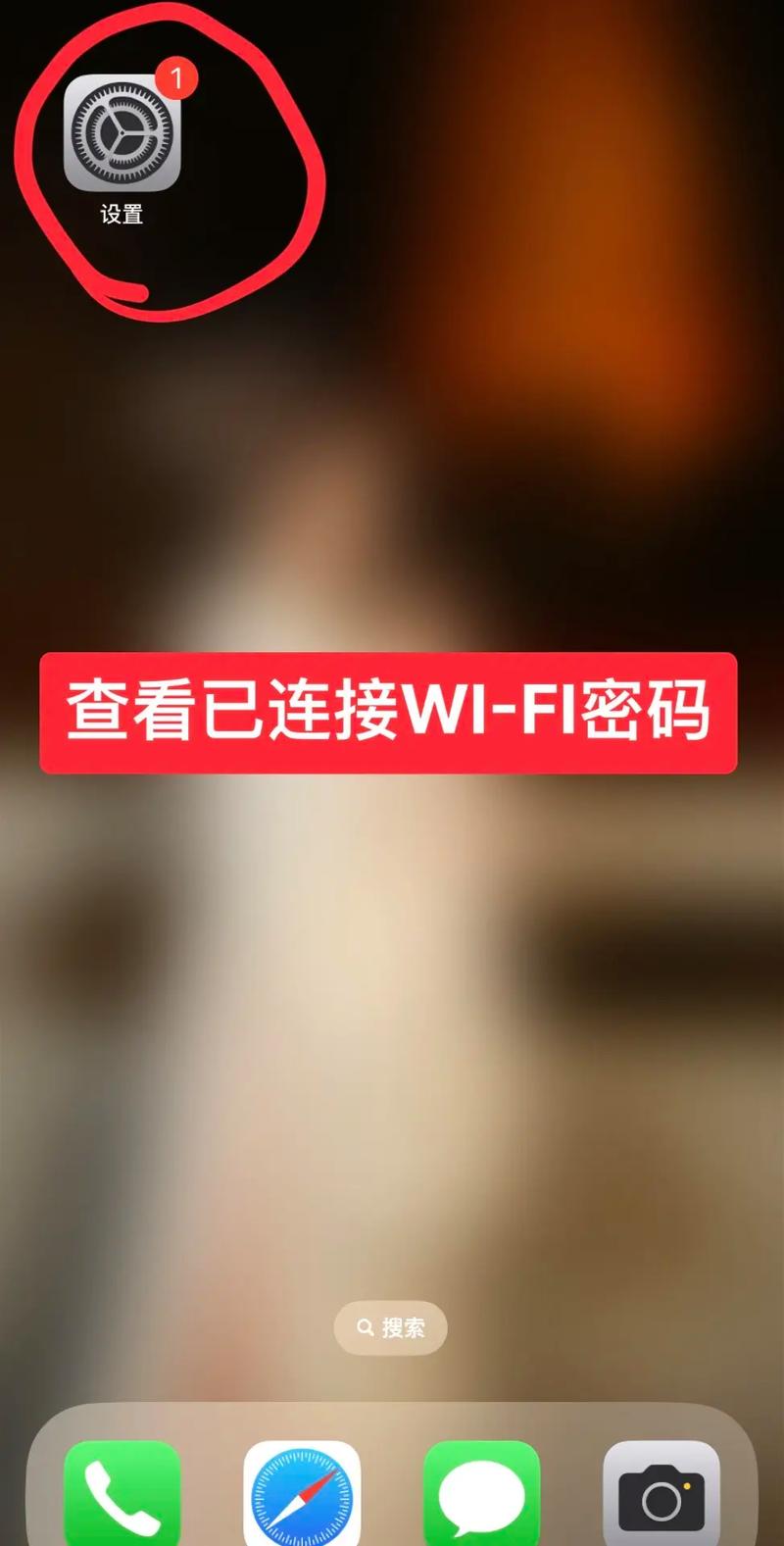 如何看苹果手机连接的wifi密码