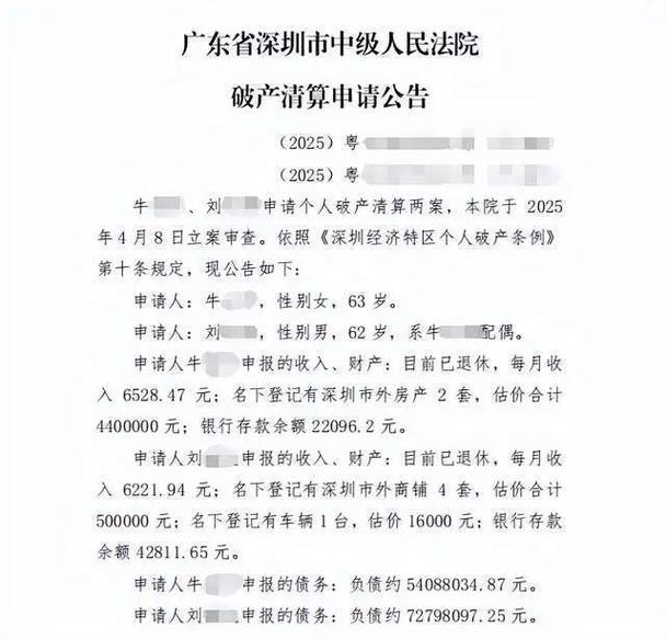 专家谈深圳退休夫妇欠债1.2亿元