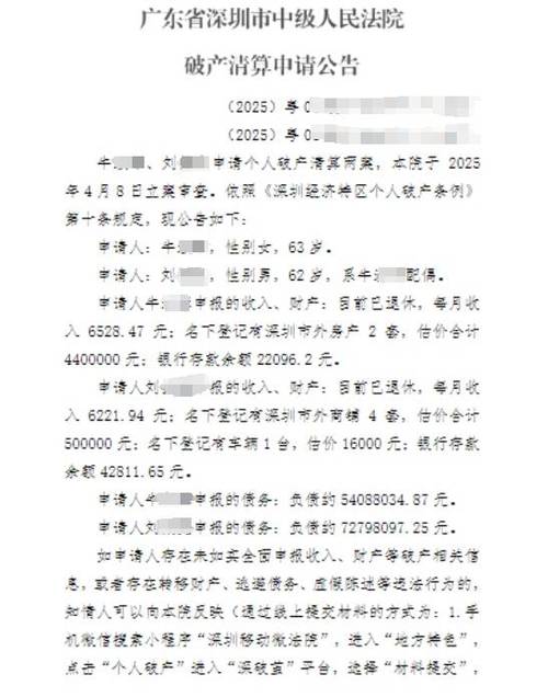 专家谈深圳退休夫妇欠债1.2亿元