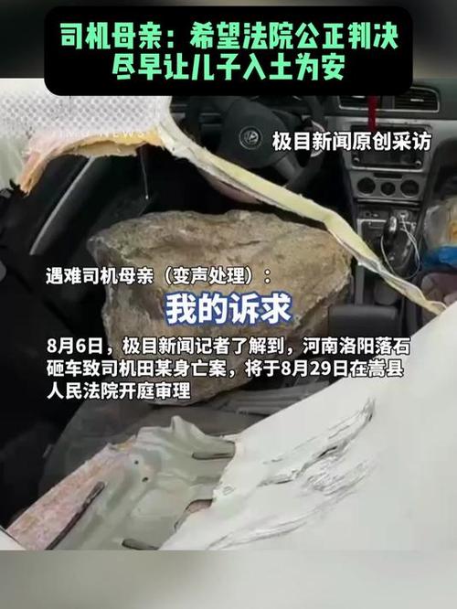 洛阳落石砸车致死案一审未当庭宣判