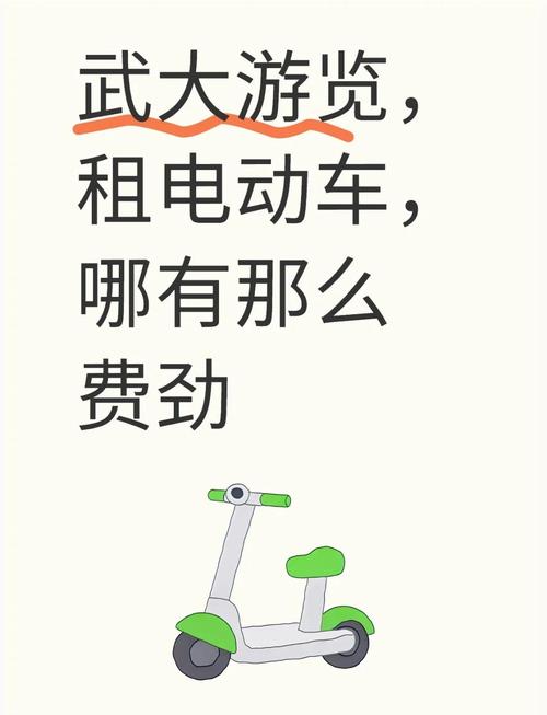 武大电动车租价36元1小时 游客:天价