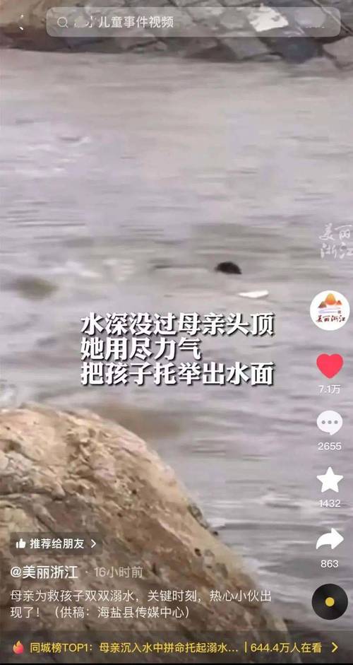 两游客勇救落入水库的车内母子