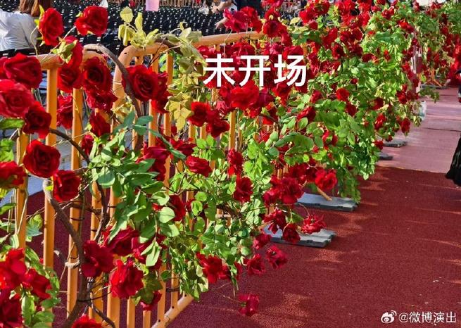 华晨宇七夕准备了8万朵玫瑰花